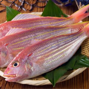 CORAL FISH